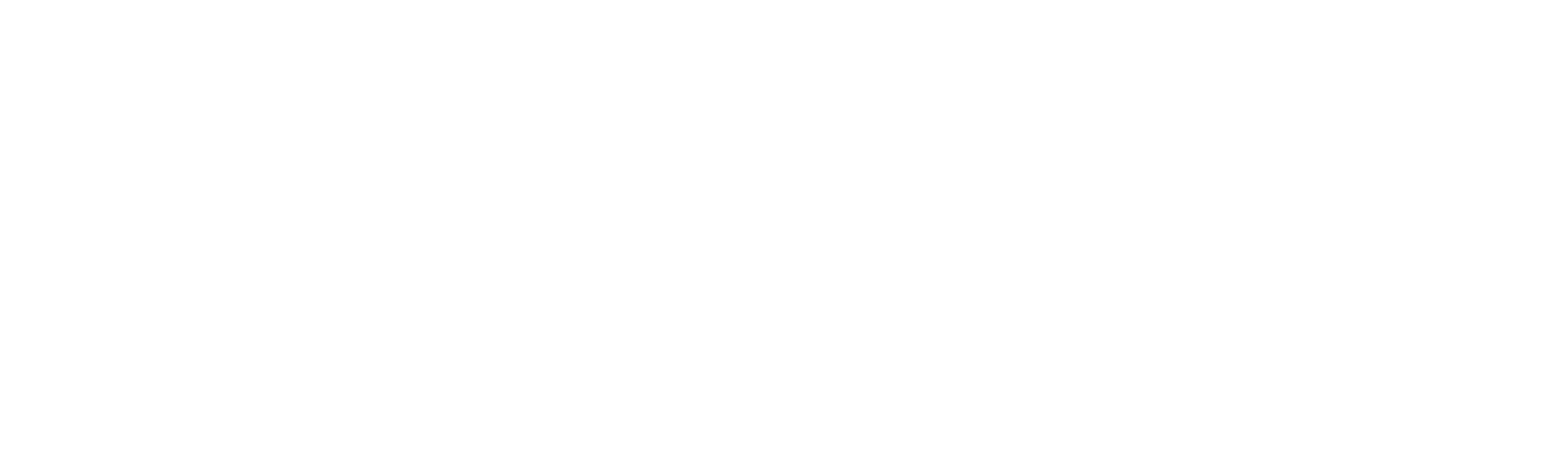 Felix Transport